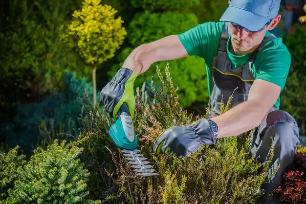 landscaping services Port Austin